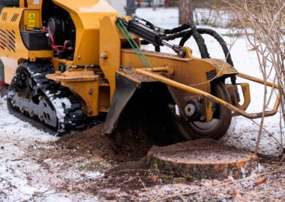 Our stump grinding machine removing a stump from cut down tree