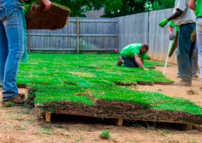 Our team laying new sod in a backyard