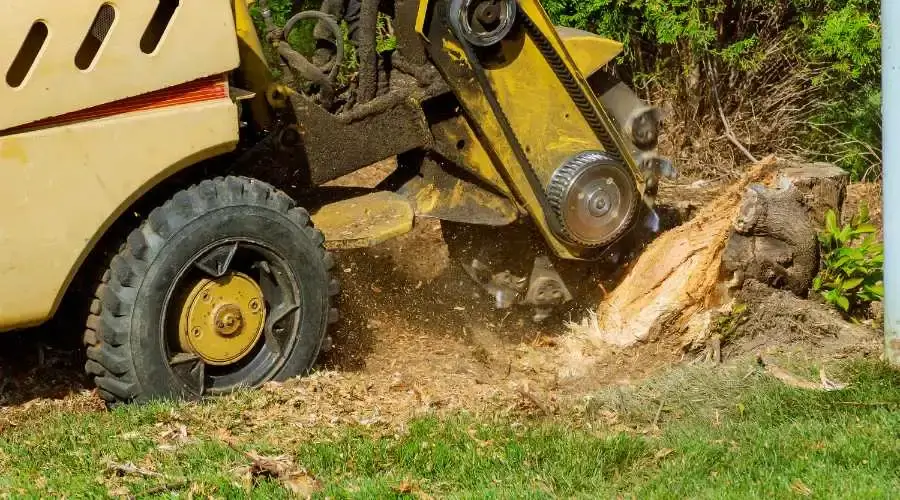 04 - consideration in hiring a stump grinder